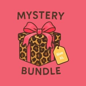 Mystery Box XL Women’s Shirts Bundle Deal Surprise Styles & Brands Reseller